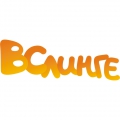 ВСлинге