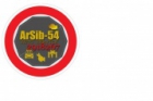 Автостудия Арсиб 54