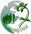 Синергия ЭК